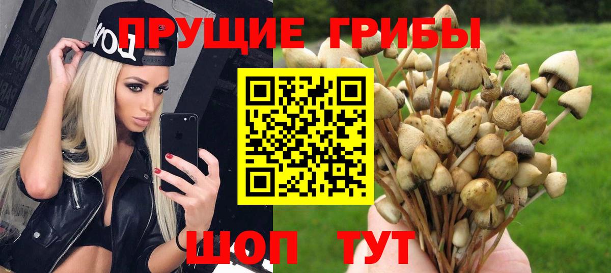 Лабинск  Псилоцибиновые грибы мухоморы  Галлюциногенные грибы GOLDEN TEACHER  Вход с VPN 
