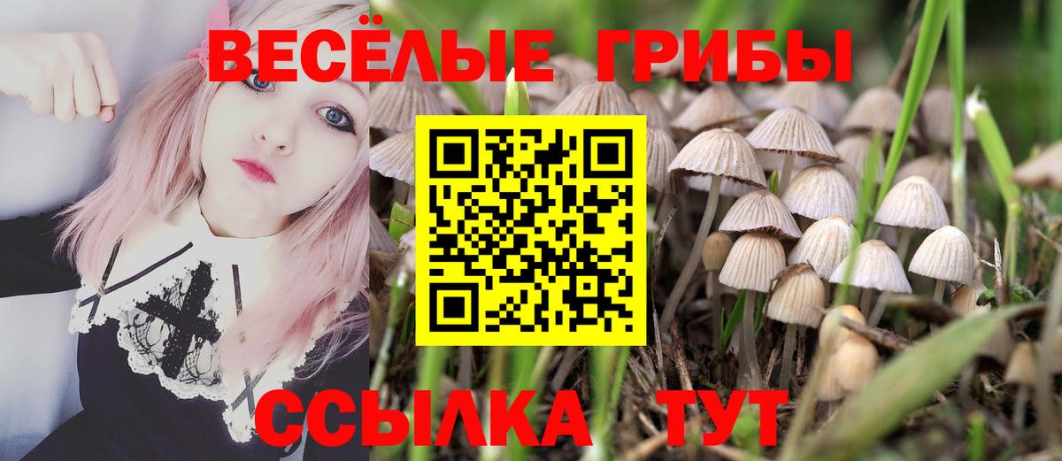 Галлюциногенные грибы MAGIC MUSHROOMS Лабинск